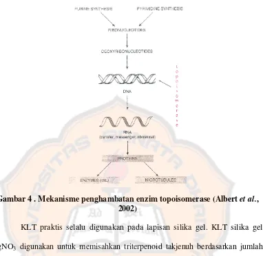 Gambar 4 . Mekanisme penghambatan enzim topoisomerase (Albert et al., 