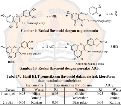 Gambar 9. Reaksi flavonoid dengan uap ammonia 