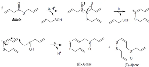 Gambar 1.  Degradasi Allicin menjadi E- dan Z- Ajoene