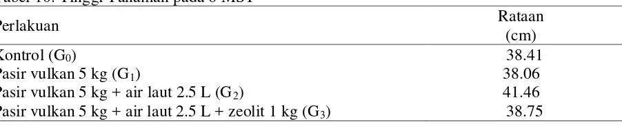 Tabel 10. Tinggi Tanaman pada 6 MST 