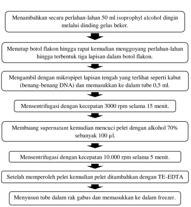 Gambar Keterangan 