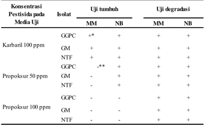 Tabel 2. Pola pengujian isolat bakteri pada media MM dan NB.