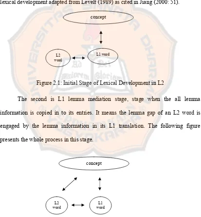 Figure 2.1: Initial Stage of Lexical Development in L2 