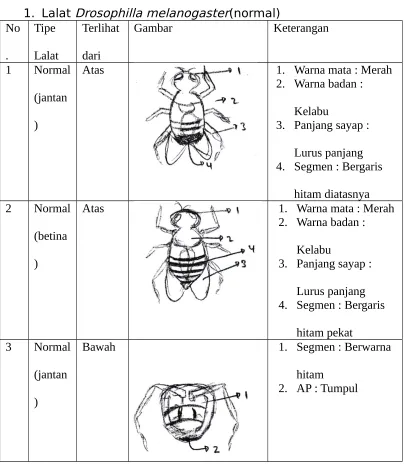 Gambar Keterangan