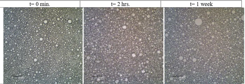 Figure 3. The microscopic images of o/w emulsion stabilized using combined 2.5% rice husk silica and 1% Tween-20 during storage at room temperature (~28oC)