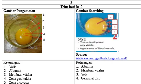 Gambar Pengamatan