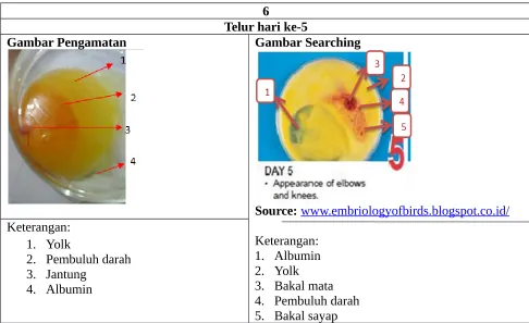 Gambar Pengamatan