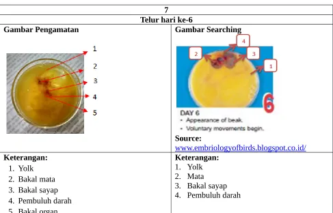 Gambar Pengamatan