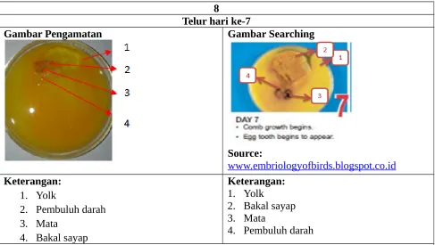 Gambar Pengamatan