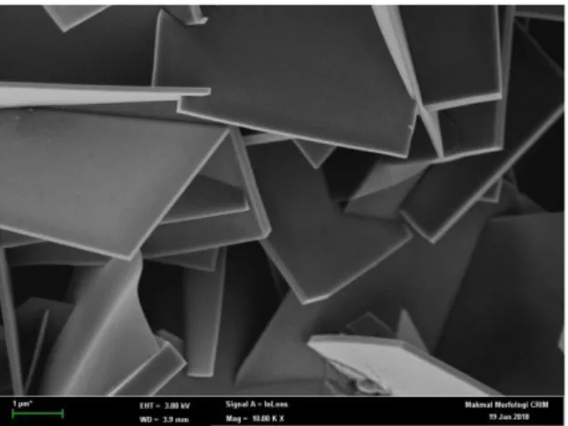 Gambar 1. Hasil FESEM(Field Emission Scanning Electron Microscopy) TiO 2  Nanopartikel