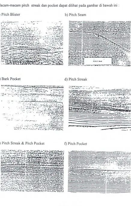 Gambar 3.5 Macam-macam Pitch Streak dan Pockets 