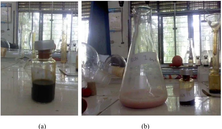 Gambar L.3.6 Minyak biji kopi hasil ekstraksi (a) dan hasil titrasi dengan NaOH 0,1N untuk penentuan kadar FFA (b) 