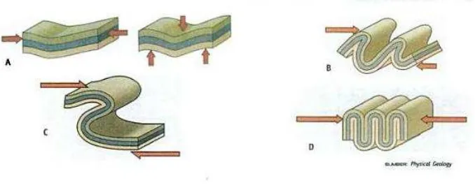Gambar 2.4. jenis lipatan. (a).lipatan tegak, (b).lipatan miring, (c). Lipatan menggantung, 
