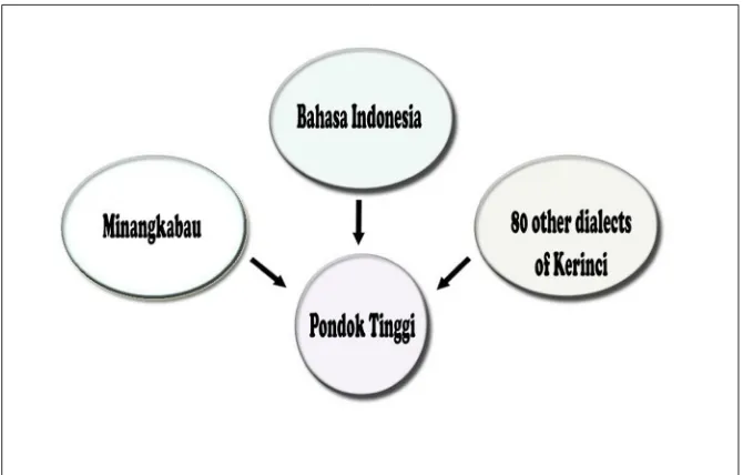 Figure 1. Language contact situation in PT. 