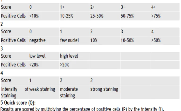 Tabel 2.2. Metode Skoring Quantitatif Imunohistokimia35 
