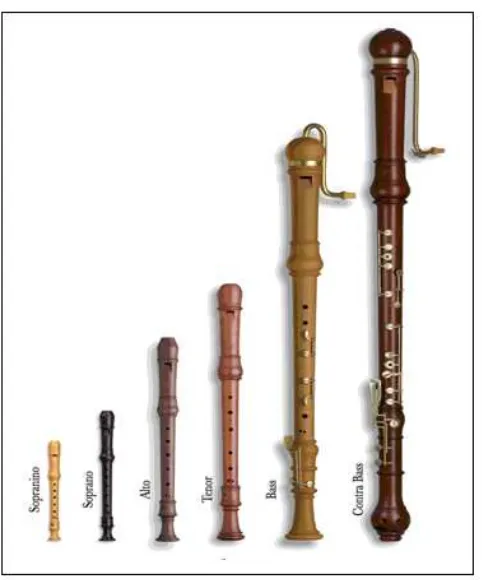 Gambar 22. Jenis-jenis recorder 