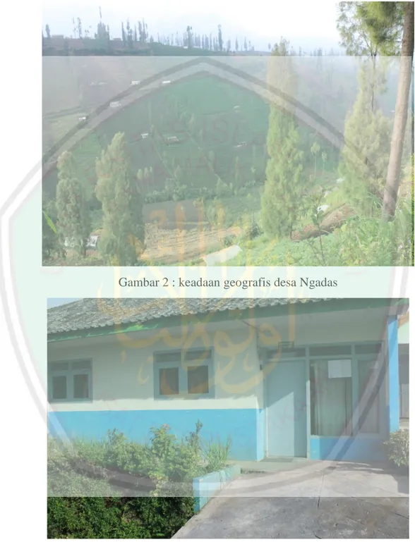 Gambar 2 : keadaan geografis desa Ngadas 