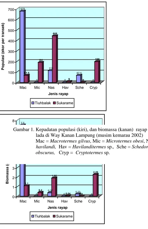 Gambar 1. Kepadatan populasi (kiri), dan biomassa (kanan)  rayap pada pertanaman                     lada di Way Kanan Lampung (musim kemarau 2002)  
