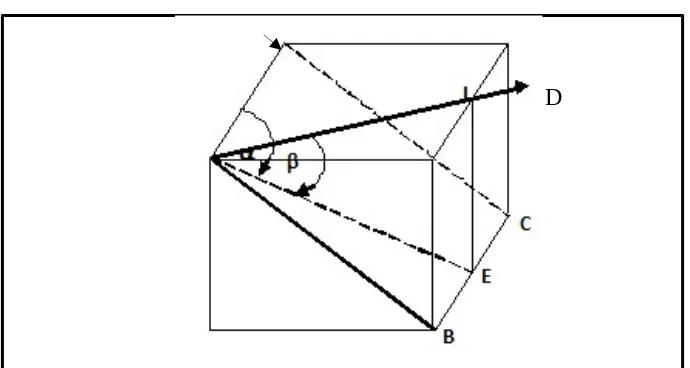 Gambar 3.5 Struktur Garis