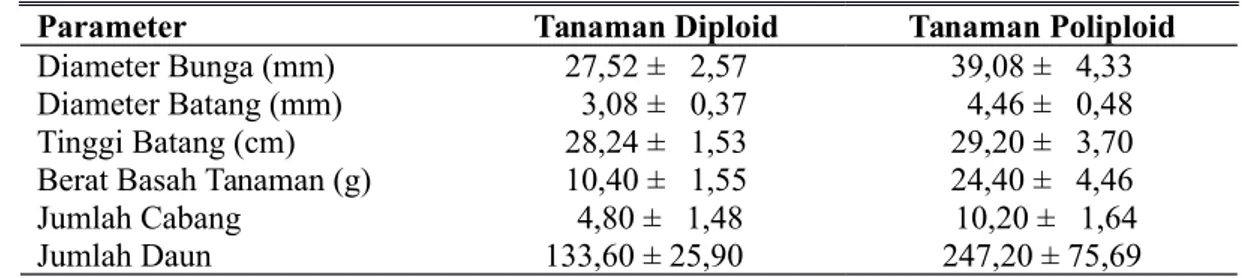 Ilustrasi 3. Panjang dan Lebar Stomata Tanaman Sutra Bombay (a) Diploid (b) Poliploid