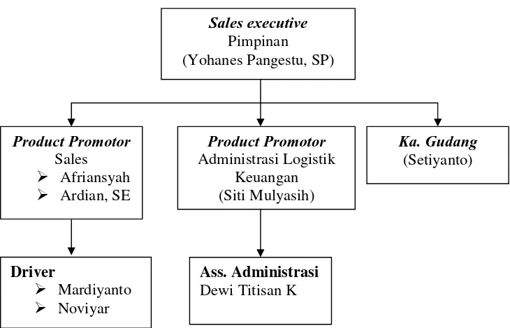 Gambar 1. Struktur Organisasi PT. IDC Perwakilan Bengkulu 