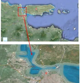 Gambar 2. 1 Perairan Selat Madura dan lalu lintas kapal yang berlayar(Sumber: googlemaps.co.id) 