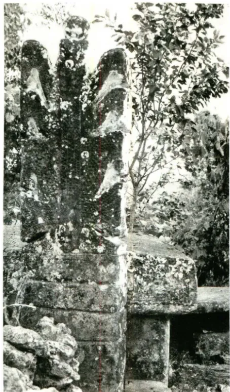 Gambar di sebelah menunjukkan sadistilisasi dengan ornamen geometdi atas kepala kerbau berhiaskmasih utuh di Lai lah satu nisan kubur tertua yang Tarung, Sumba Barat