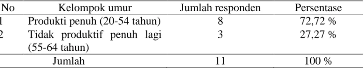 Tabel 1.Pembagian Kelompok Umur Responden Kepala Keluarga Pengrajin Batu  Bata  di  Desa  Banjarsari  Kecamatan  Wonosobo  Kabupaten  Tanggamus  Tahun 2017