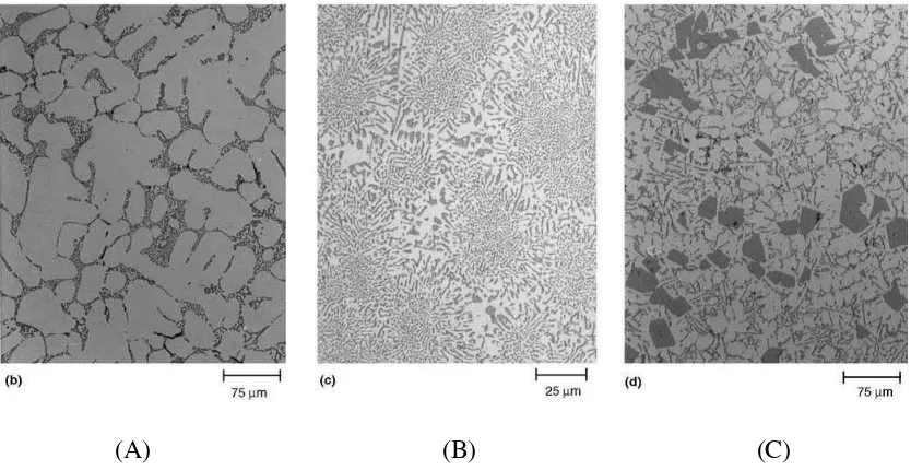 Gambar 2.3   (a)  Struktur  Mikro  Paduan  Hypoeutectic. (B)  Struktur  Mikro 