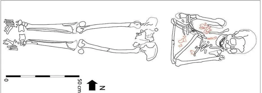 Gambar 11. Posisi rangka Song Keplek 5, dengan beberapa tulang hewan (warna merah), (Détroit, 2002) 