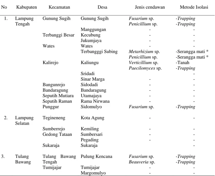 Tabel 1. Isolat cendawan entomopatogen di lahan kering masam, Lampung  