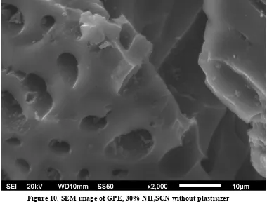 Figure 10. SEM image of GPE, 30% NH4SCN without plastisizer 