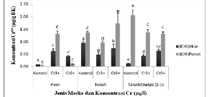 Gambar  3.  Kandungan    protein  terlarut  daun  S.  oleraceus  yang  ditumbuhkan  pada  3  jenis  media  tanam  berbeda  dengan  cekaman  Cr 3+ dan  Cr 6+ 