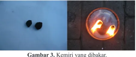 Gambar 3. Kemiri yang dibakar.
