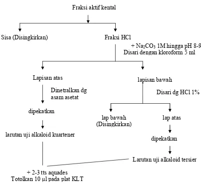 Gambar 1. Skema uji kualitatif fraksi aktif dengan metode KLT 