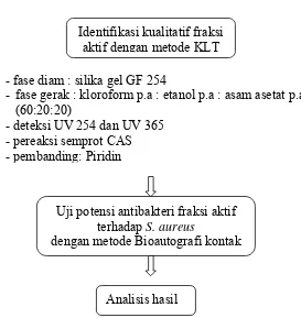 Gambar 2. Skema Penelitian uji potensi antibakteri fraksi kloroform-etanol-