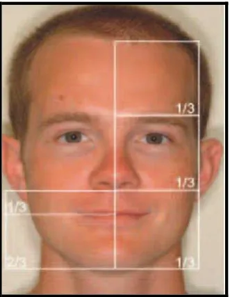 Gambar 4. Proporsi vertikal wajah22 