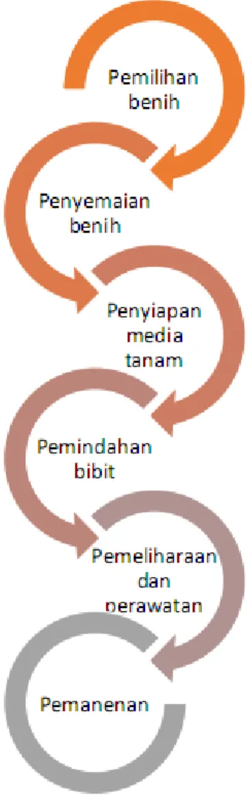 Gambar 6. Proses Penanaman Sayuran dan Buah 8