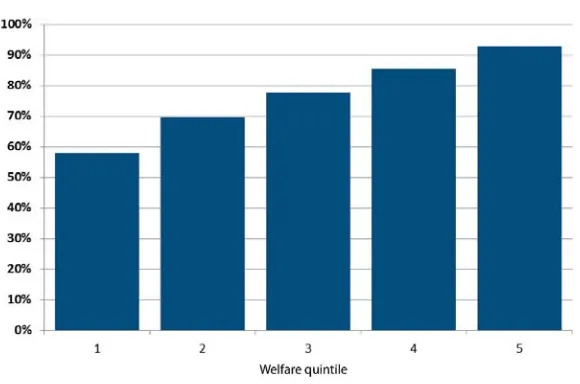Figure 1. Percentage of Pregnancies Accompanied by Skilled Provider – Wealth Quintileggy