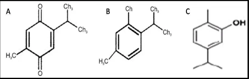 Gambar 3.  Struktur kimia senyawa aktif biji jintan hitam (A) timokuinon,(B) timol, dan (C) karvakrol5,9  