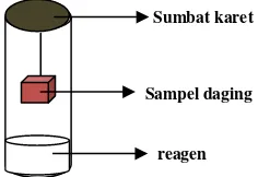 Gambar 1  Posisi sampel daging pada uji Eber 