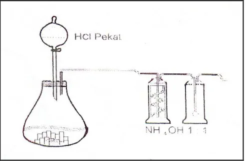 Gambar 1. Proses pembentukan Kalsium Kabonat 