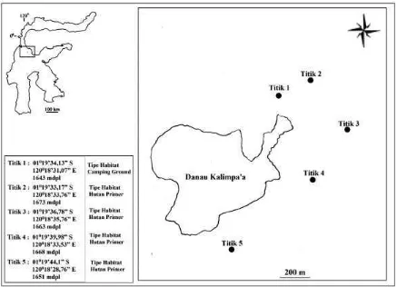 Gambar 1. Peta Lokasi pengambilan sampel di Danau Kalimpa’a TNLL Keterangan:  Distribusi Rhacophorus edentulus di Danau Kalimpa’a TNLL 
