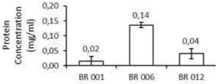 Figure 6. Protein concentration of the crude enzyme 