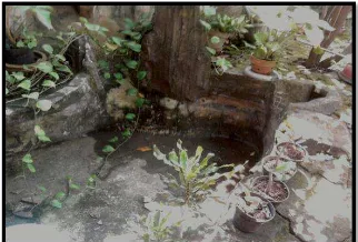 Gambar 1 . Kolam resapan air yang dibuat oleh di salah satu rumah warga RW V 