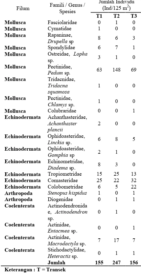 Tabel 2. Invertebrata yang ditemukanpada siang  hari
