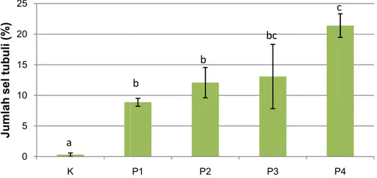 Gambar 3. Diagram jumlah sel tubu mg/kg BB; P2: pemberian PSK do