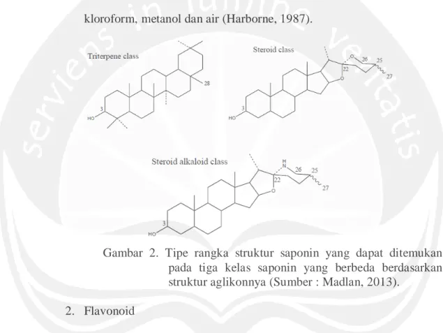 Gambar 2. Tipe rangka struktur saponin yang dapat ditemukan  pada  tiga kelas  saponin yang berbeda berdasarkan  struktur aglikonnya (Sumber : Madlan, 2013)