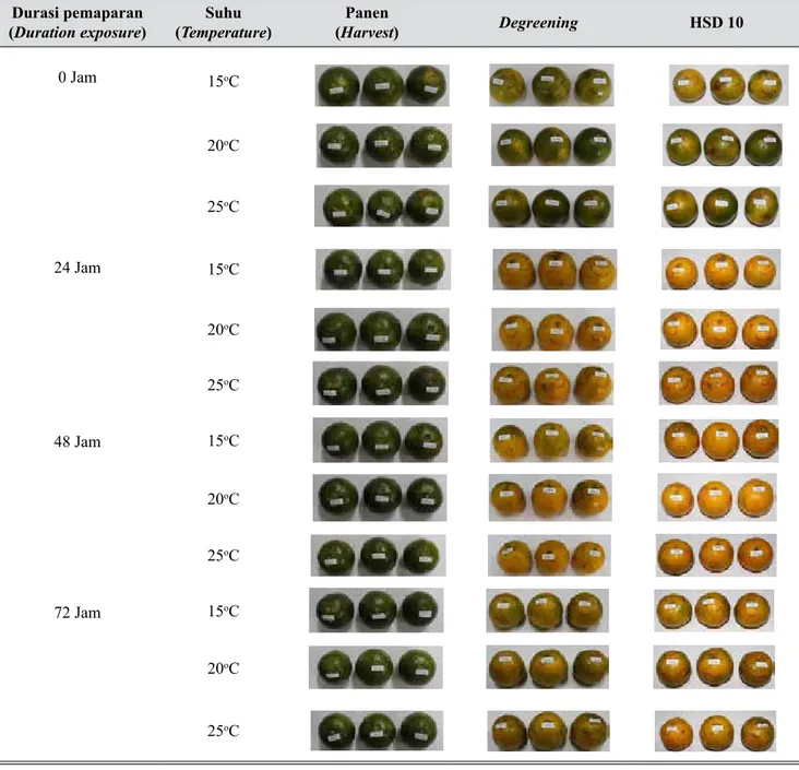 Foto pengaruh kombinasi waktu pemaparan dan  suhu terhadap jeruk siam pada Gambar 3 menunjukkan 