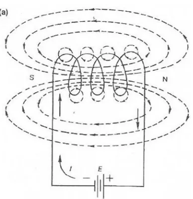 Gambar 2.3. Kutub-kutub magnet pada arus loop. 